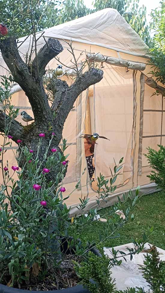 Pripučiama palapinė DYKUMA PLUS Glamping meniškas pateikimas